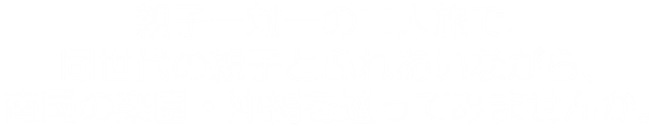 親子一対一の二人旅で、同世代の親子の親子とふれあいながら、南国の楽園・沖縄をめぐってみませんか。